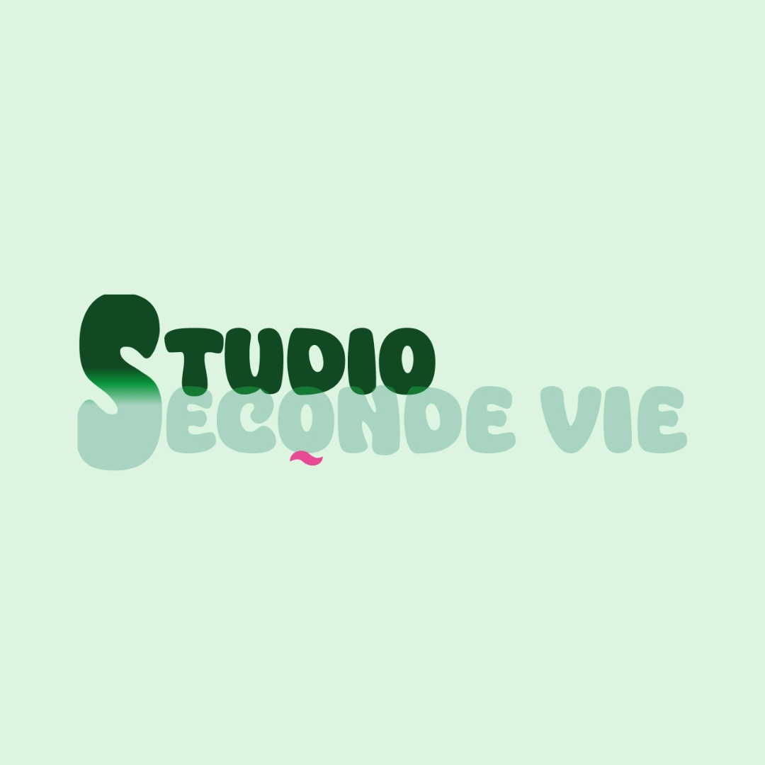 logostudiosecondevie